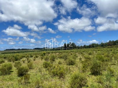 VENTA 11 HECTAREAS RUTA 104