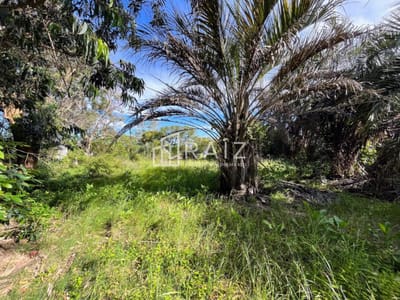 VENTA TERRENO 520M EL CHORRO