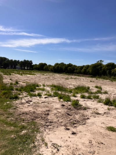 Terreno en alquiler de 6500m2 ubicado en Carrasco Norte