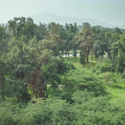 Espectacular oficina en venta para inversin en LA FLORESTA SAN BORJA
