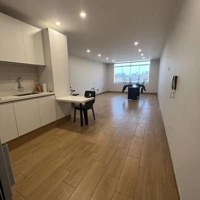 Amplio Departamento amoblado y moderno con hermosa vista al parque Santa Anita