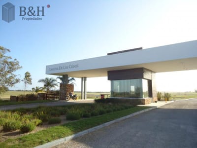 50 metros de costa, acepta financiacion, venta, chacra, Punta del Este, Uruguay, LAGUNA DE LOS CISNES