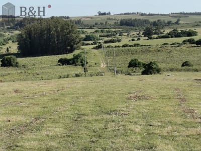 Hermosa chacra a 15 Kilómetros del Mar, Pan de Azúcar