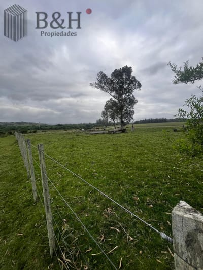Campo 110 hectáreas en Aiguá