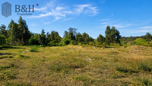 Venta de terreno de 2800 m2 en Barrio Golf de Punta del Este.
