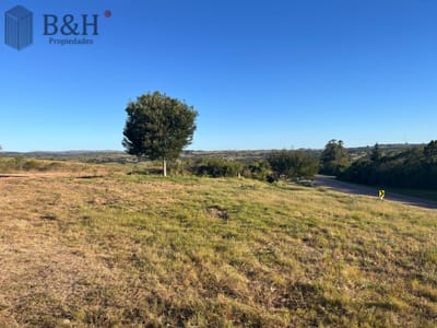 Chacra en ruta 39
