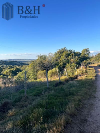 Chacra en ruta 39 antes de Aigua