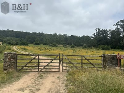 Venta chacra en zona La Pataia Punta Ballena