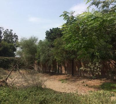 VENDO TERRENOS EN URB CASA BLANCA  PACHACAMAC