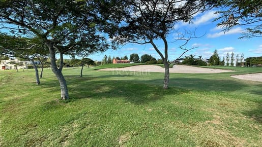 LOTE ÚNICO
