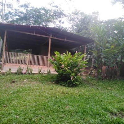 Vendo terreno Tarapoto  hectreas con cabaa a  minutos de la ciudad