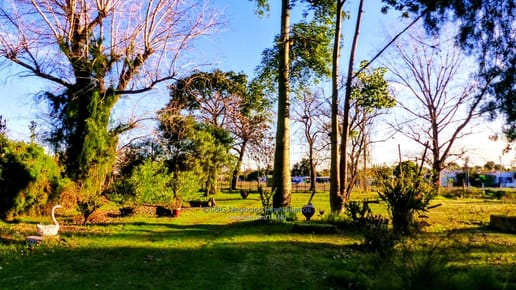 Terreno con 3 propiedades
