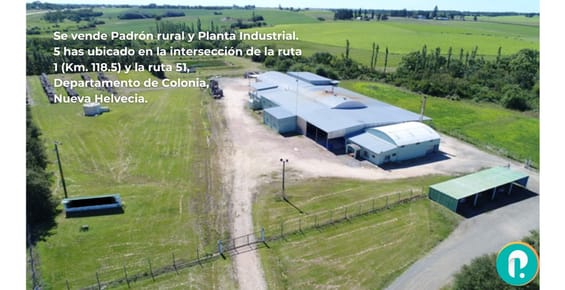 Venta O Alquiler Logística O Planta Industrial En Nueva Helvecia