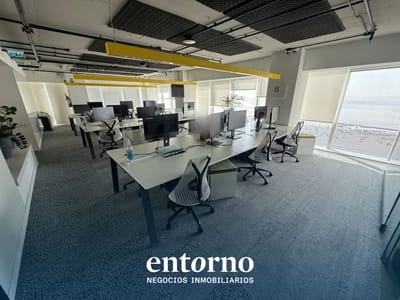 Alquiler de Oficina Piso Completo - World Trade Center Torre 4 - piso 32