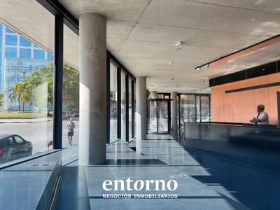 Oficina Premium en Alquiler – A Pasos de Plaza Independencia