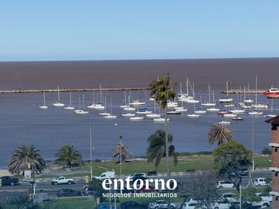 Venta Apartamento 1 Dormitorio Vista Al Puerto Buceo - Piso 4
