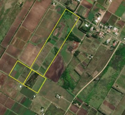 VENTA DE CHACRA DE 11 HECTÁREAS ZONA PAJAS BLANCAS