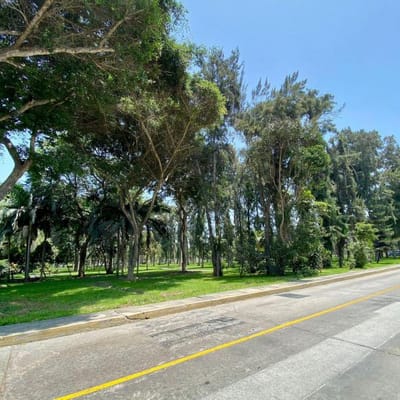 Vive frente al parque en flat de m bella terraza  cocheras