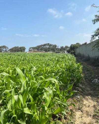 VENDO TERRENO RUSTICO EN SECTOR VALDIVIA  HUANCHACO
