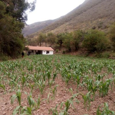 Remato terreno V Sagrado ideal proyectos tursticos yo agrcolas  m