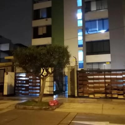 Vendo Lindo duplex m   dormitorios  cocheras S Borja norte con San Luis