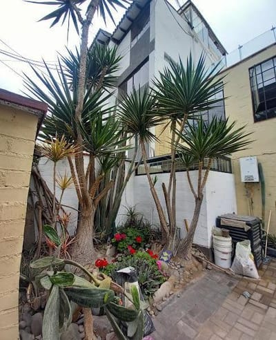 Vendo casa frente a parque m de frente m de terreno