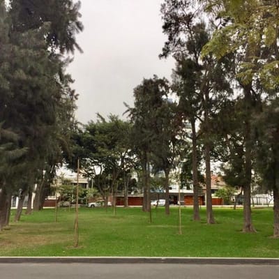 Se Vende  Casas Colindantes Parmetros  Pisos Frente a Parque San Isidro