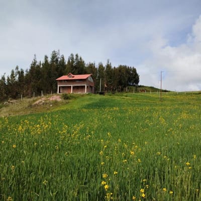 Venta de Terreno de  m en  Chinchero Ccorimarca    dlares el m