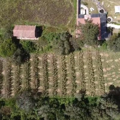 Venta De Terrenos En YanahuaraUrubamba