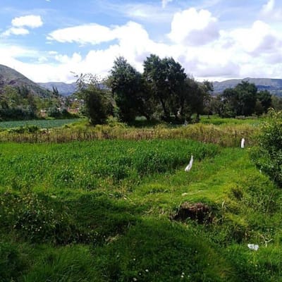 Atencin Inversionistas terreno en venta en Cusco