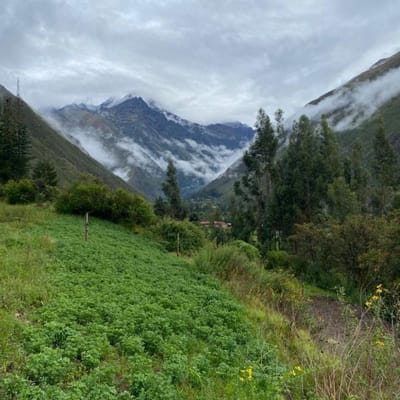 Vendo Propiedad Construida En OllantaytamboCachiccata