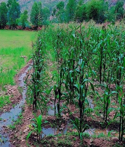 En Venta Terreno En El Valle Sagrado Urubamba