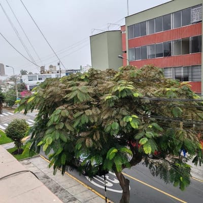 VENTA PROPIEDAD USO COMERCIAL CORPAC SAN BORJA