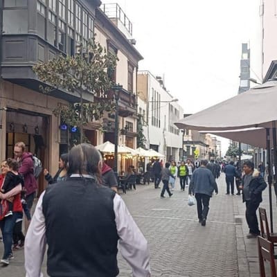 ALQUILER DE LOCAL COMERCIAL EN CENTRO DE LIMA ALTO TRANSITO