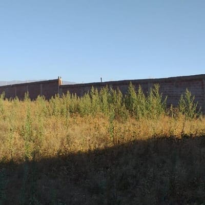 TERRENO  EN VENTA DE  m POR SOCABAYA AREQUIPA