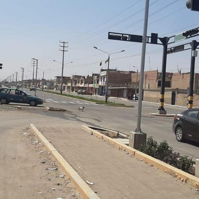 SE VENDE TERRENO EN AUGUSTO BLEGUIA  M