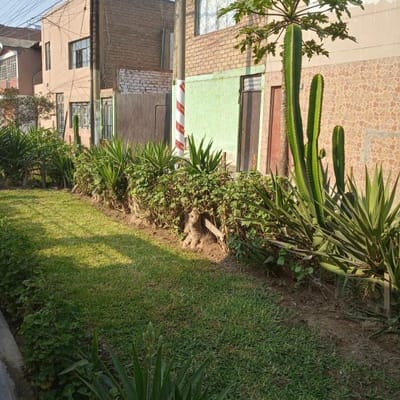 IDEAL INVERSION EN ZONA RESIDENCIAL DE COMAS