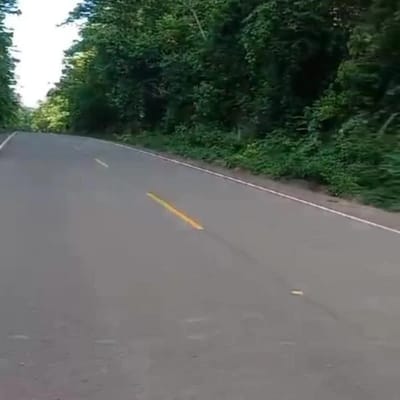 GRAN OPORTUNIDAD DE INVERSIN DE  HECTARIAS DE CHACRA AGRRCOLA