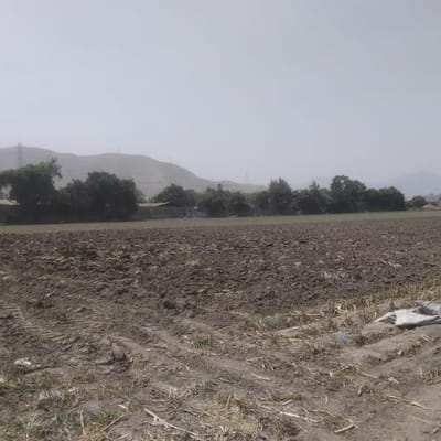 VENDO TERRENO AGRICOLA  SAN MARTIN DE PORRES