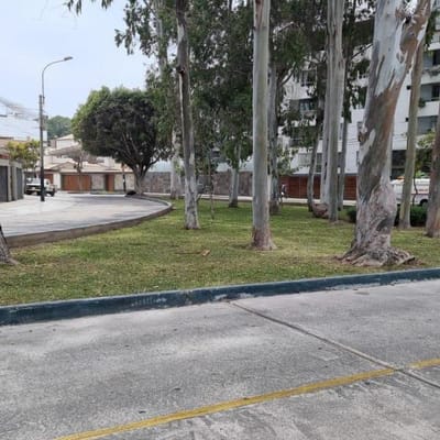 TERRENO PARA EDIFICIO FRENTE A PARQUE Casa