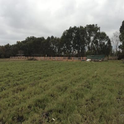 TERRENO MALA TOTALMENTE PLANO