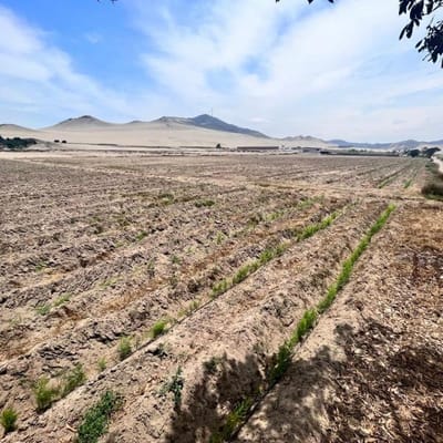 VENTA DE TERRENO DE  M  EN CHANCAY