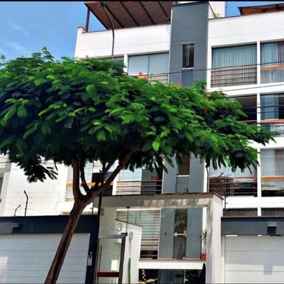 Surco Chama amplio depa  dormitorios  cocheras con hermosa vista externa