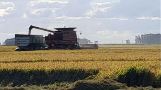CAMPO EN VENTA EN  DEPARTAMENTO DE TREINTA Y TRES.