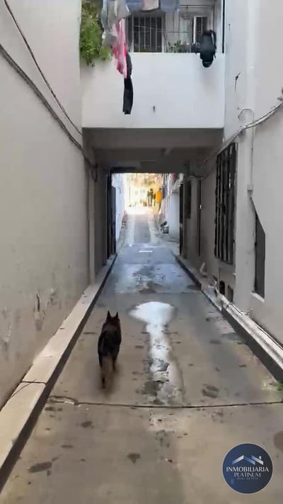 Local Comercial de mas de 1000 m2, en venta ubicado en Cordón Norte