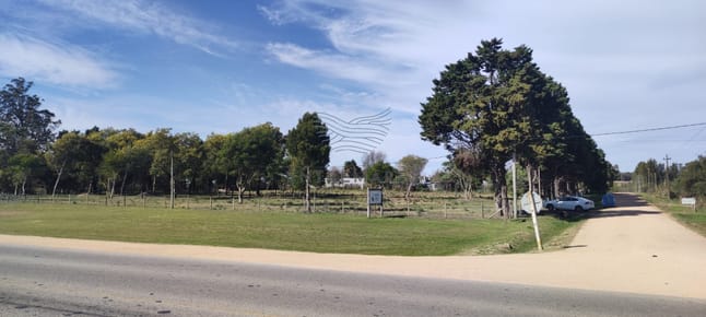 Fraccion de 10.000 m2, San Carlos sobre Ruta