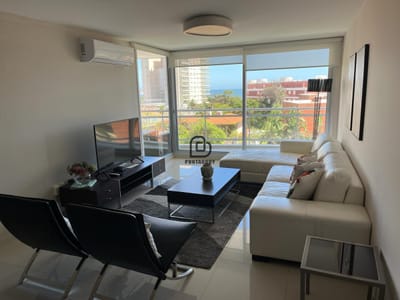 2 dormitorios, 2 baños mas dependencia de servicio  en alquiler vacacional