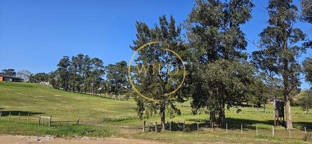Terrenos en venta frente a Club de Golf de Punta del Este