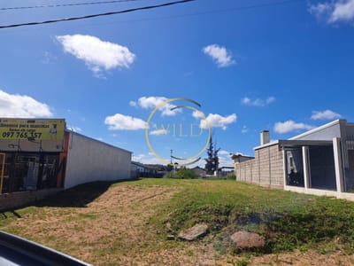 Vende terreno sobre avenida Leandro Gomez, Maldonado