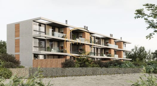 Venta mono en Punta Ballena